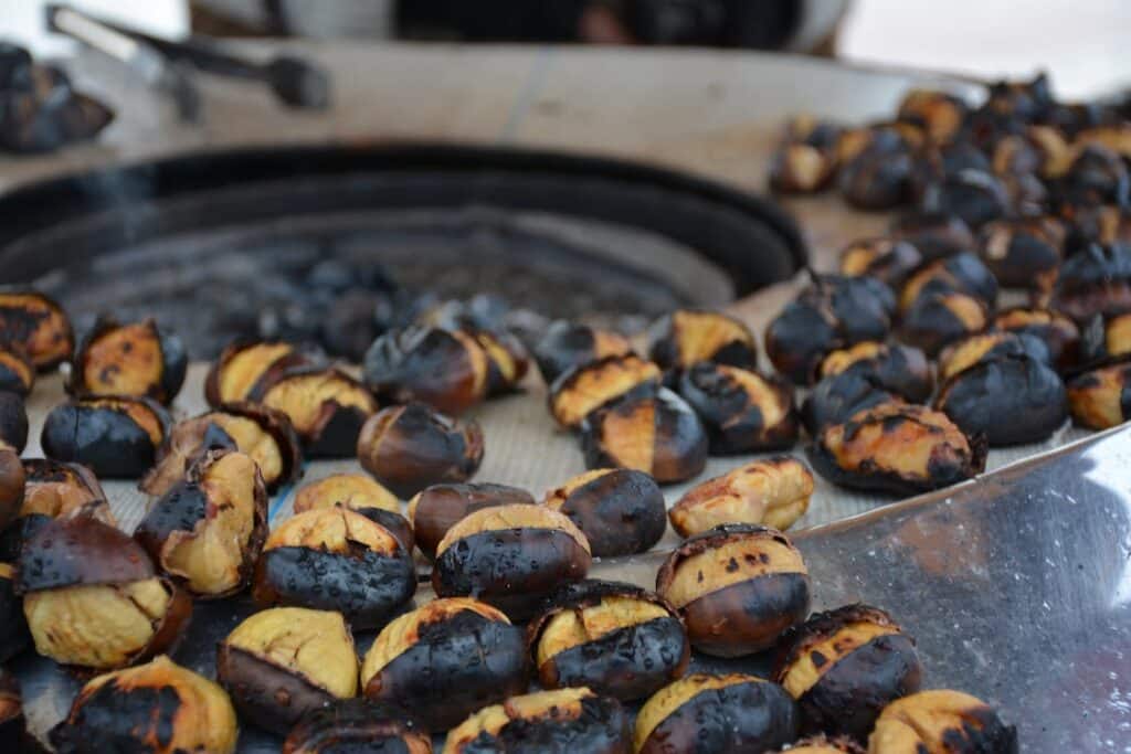 Chestnuts in Spain and the festivals associated with them. Preparing edible chestnuts. 2 Chestnuts in Spain and the festivals associated with them. Preparing edible chestnuts. 1